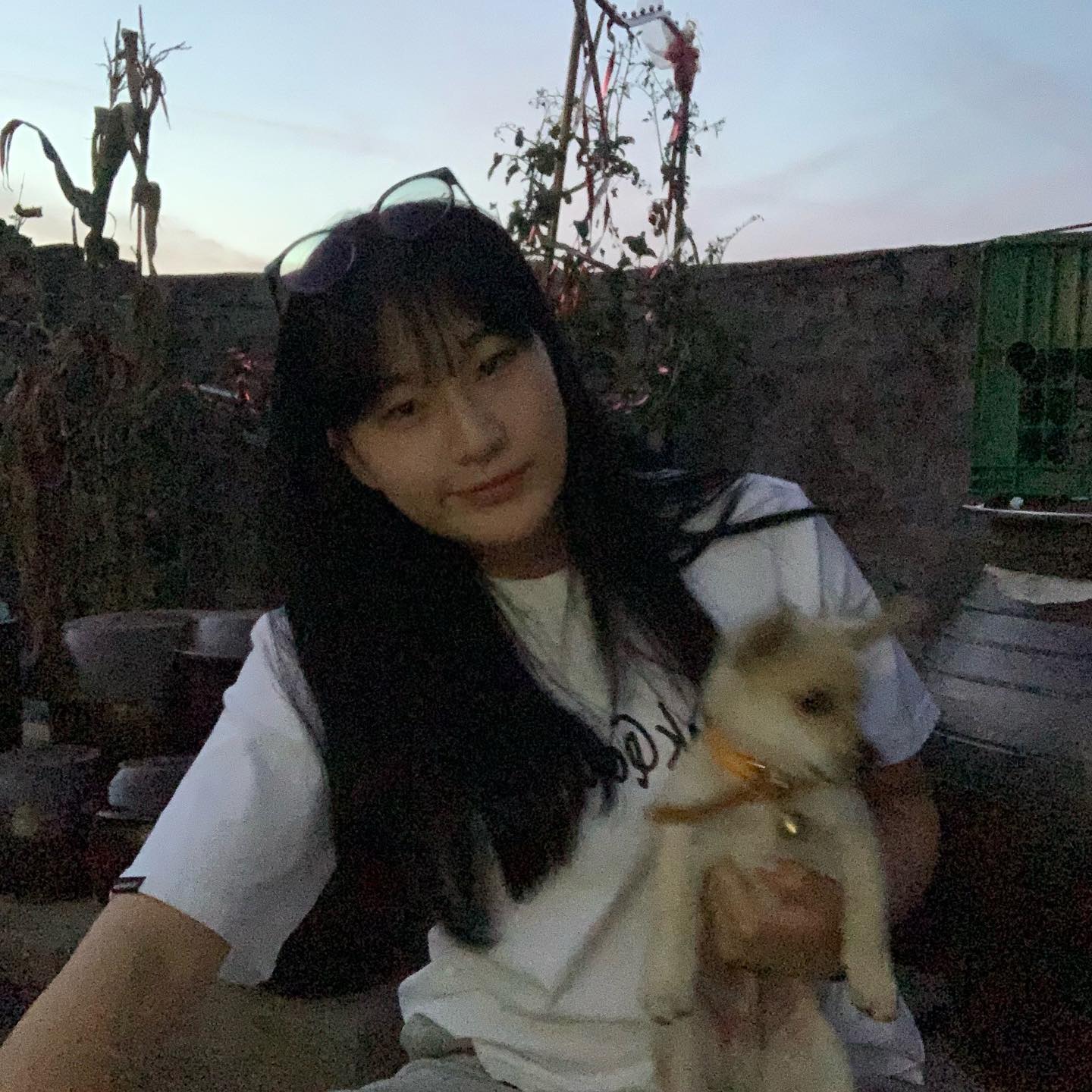 멈뭉이