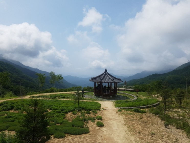 [나혼자산다]별똥별까지 떨어지는 화사 별보러 간 곳 : 화악터널 쌈지공원! ★ 별보러 갈 때  TIP
