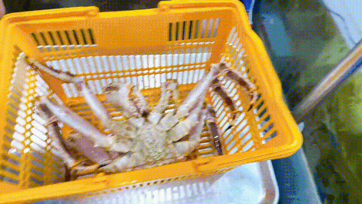 강릉 부자대게를 다녀왔습니다.