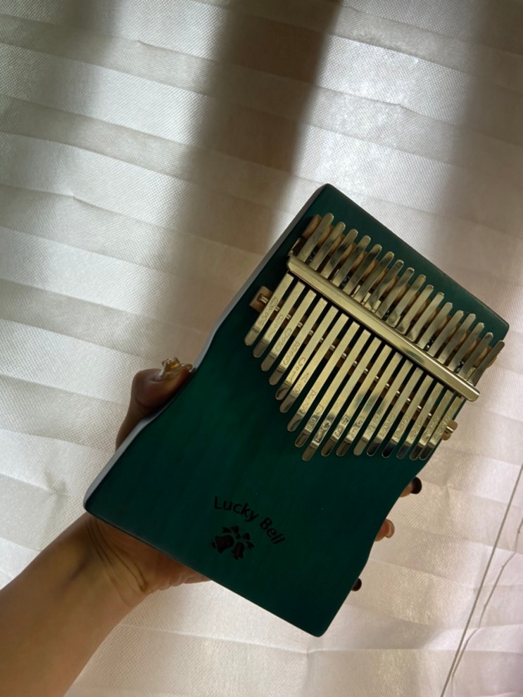 (럭키벨) 집순이취미 칼림바 추천 악기독학으로 취미생활🌿
