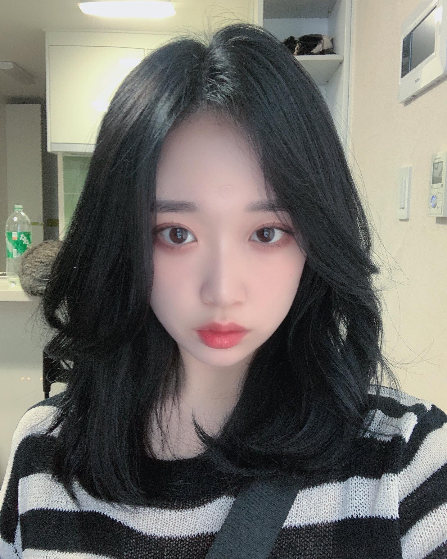 사람 뒤에 고냥이 있어요 🐈