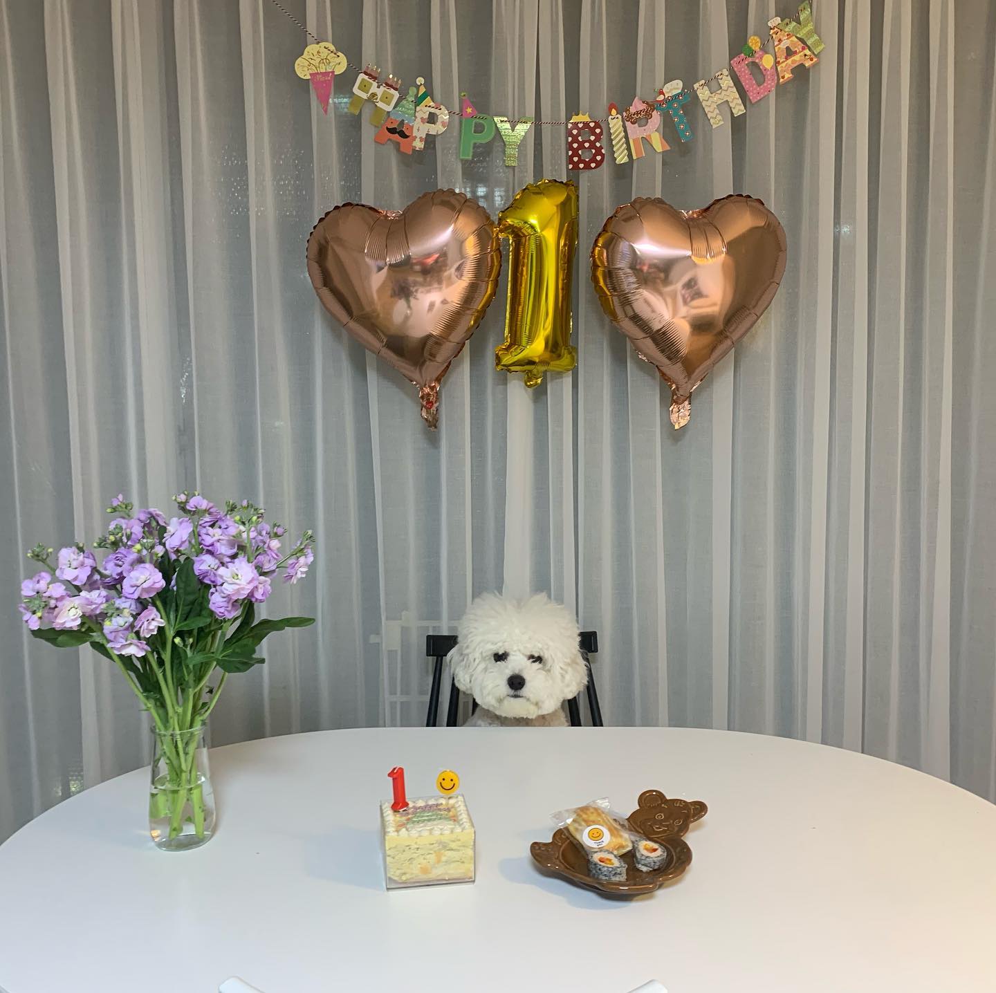귀여운 내 강아지 생일🎂
ㅋㅋㅋㅋㅋㅋㅋㅋㅋㅋㅋㅋㅋㅋㅋ
조촐해서 더 귀엽따^^ㅋㅋㅋㅋㅋㅋㅋ💓
풍선 떨어지고 화병엎고 호다닥 생일파티
원장님이 사쥬신 케이쿠 완벽-!

행복한 강아지 맞찌이? 
탕탕이 때뭉에 내가 제일 행복ㅎH ☆〜（ゝ。∂）