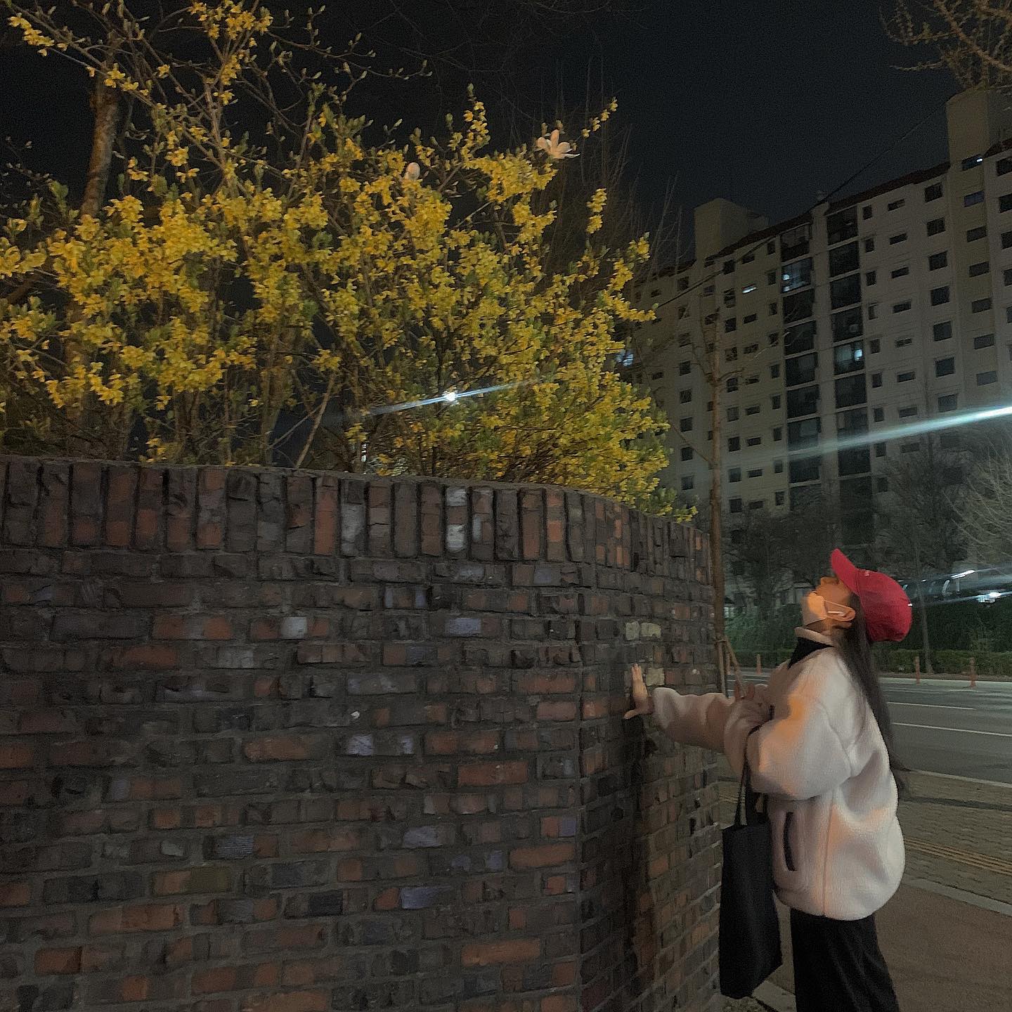 막막할 땐 막,해야하는 거지? ･з･
