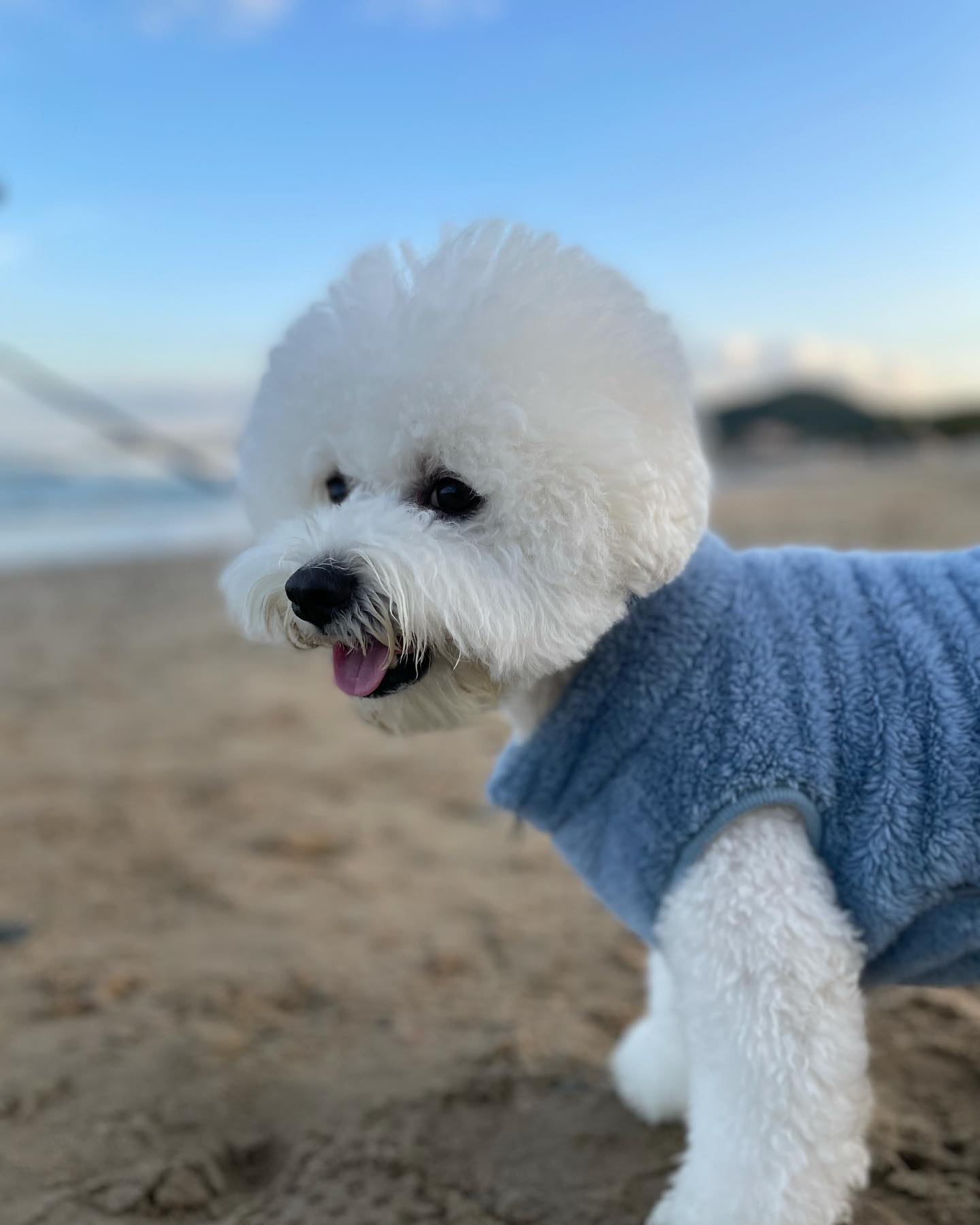 변두유 바다 구경시켜주러🏝