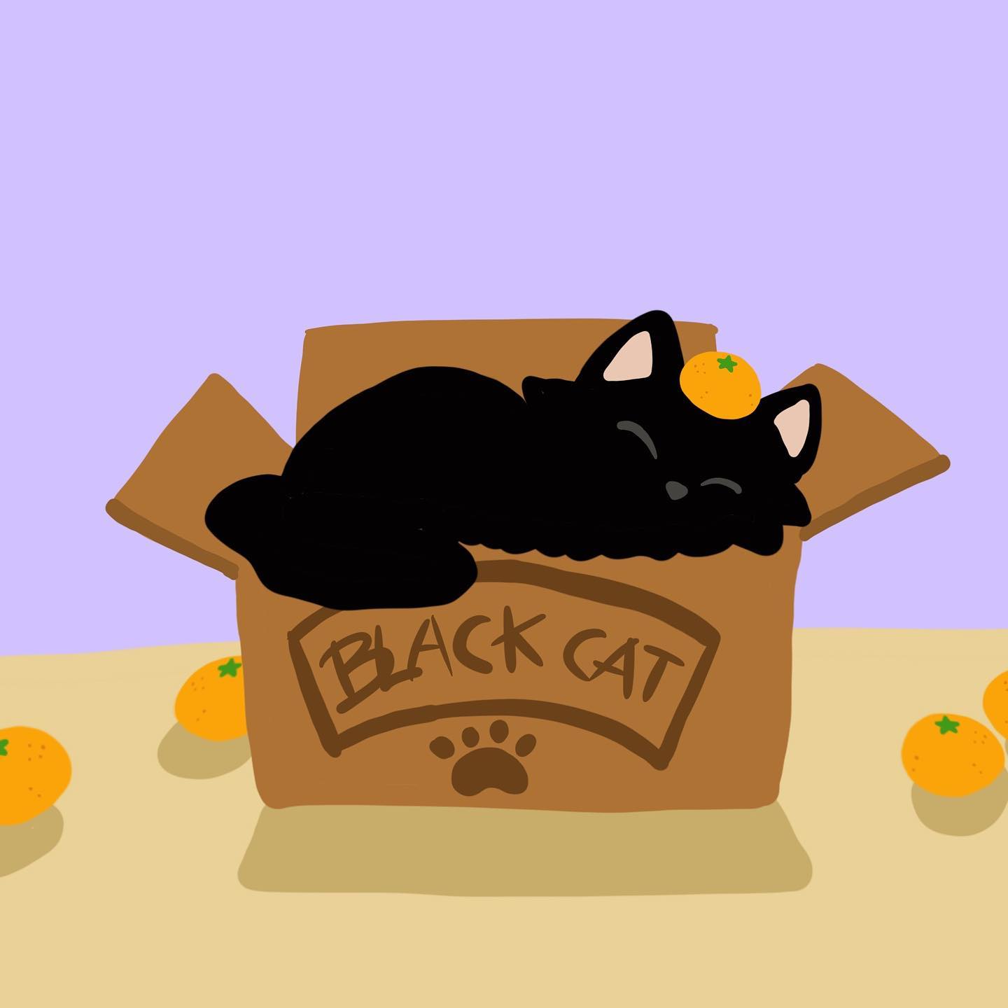 아이패드 그림 유튜브 강좌 보면서
따라 그려 본 상자 위에 고양이🐈‍⬛
.
.
redwhale24