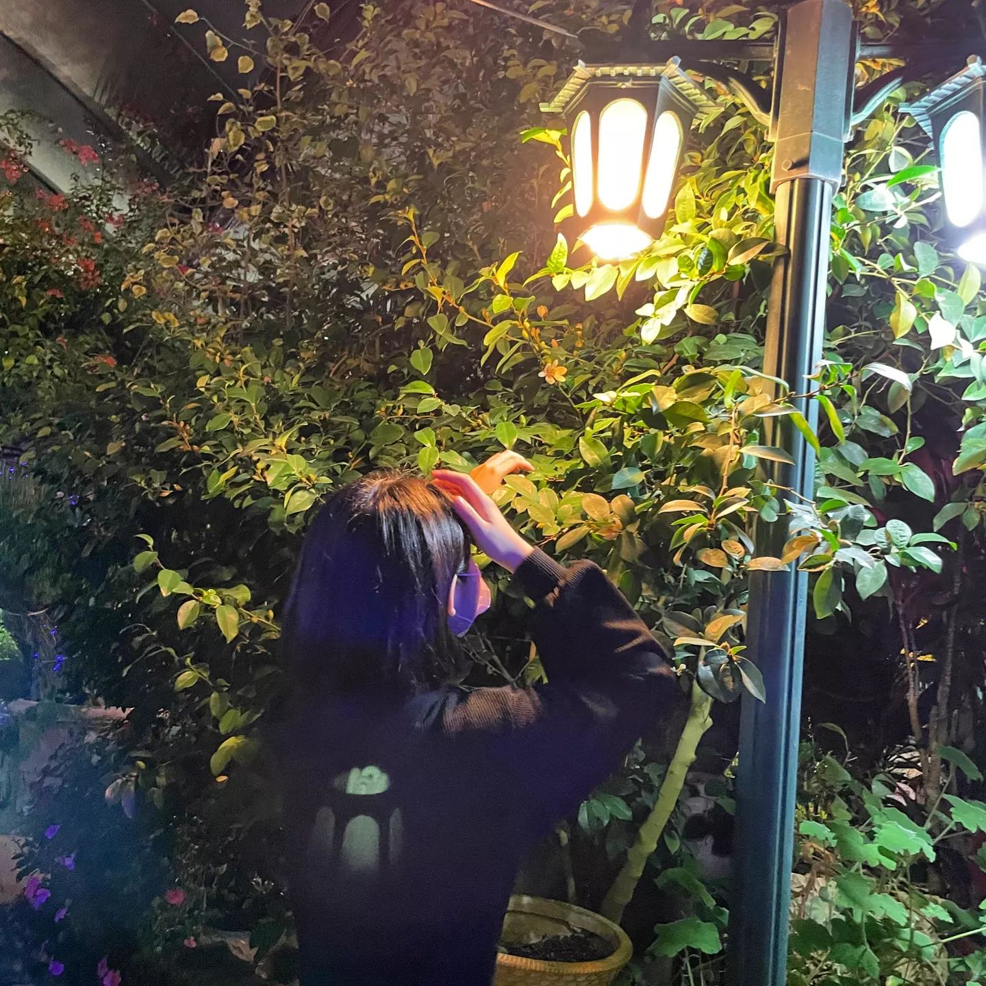 콘텐츠