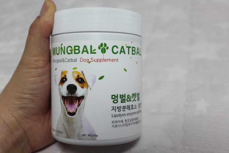 멍벌&캣벌로 강아지체중조절하기