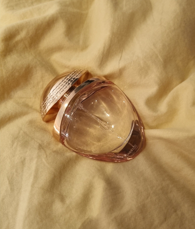 [불가리 로즈 골데아 향수 리뷰] Bvlgari_Rose Goldeaෆ