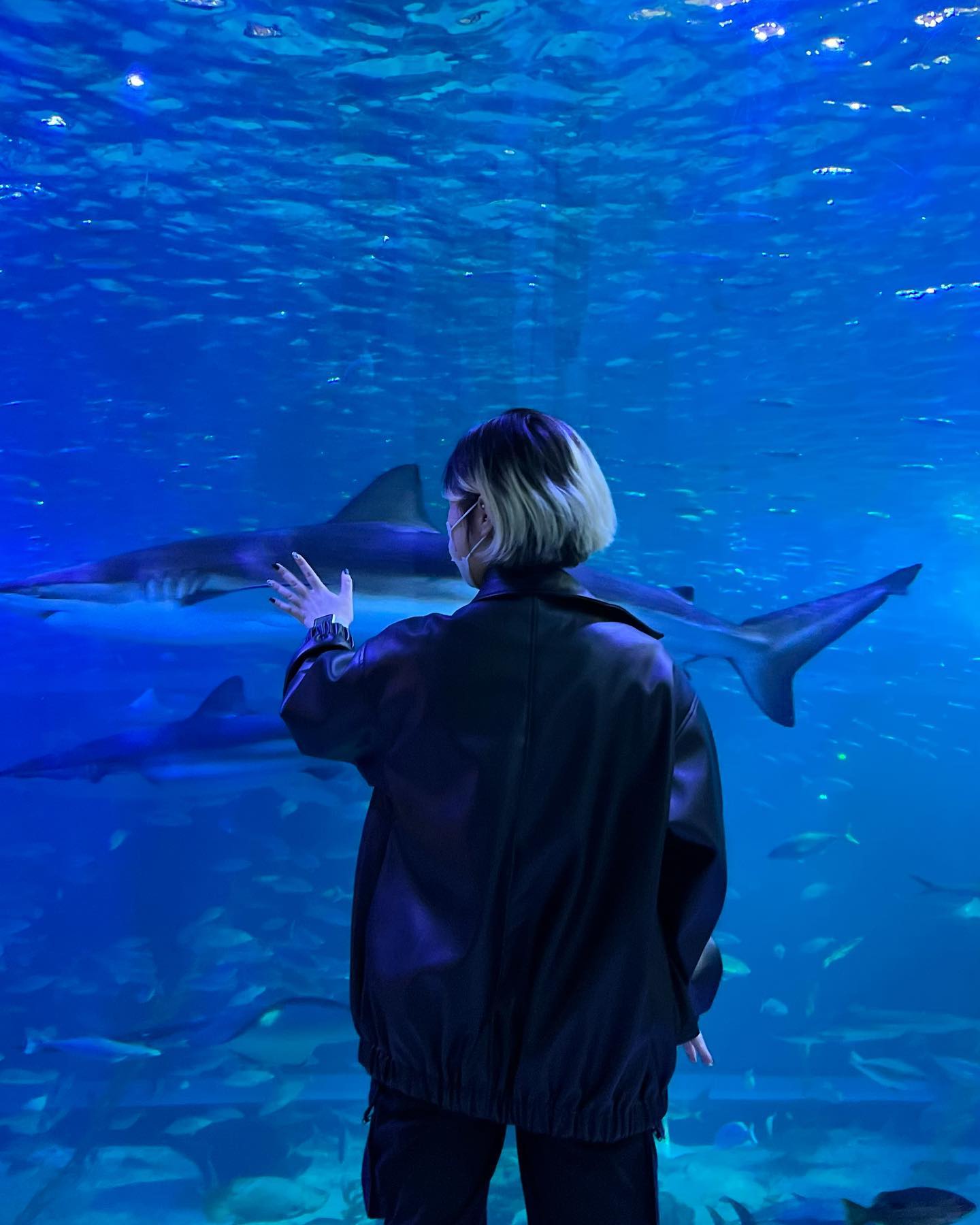 22.02.27 샤크🦈
.
#상어보다가 #목빠지겠네 #제주아쿠아플라넷