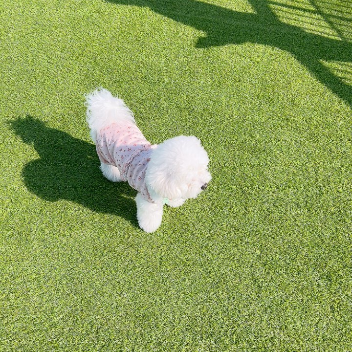 애카와서 기부니가 좋은 만두찡💕