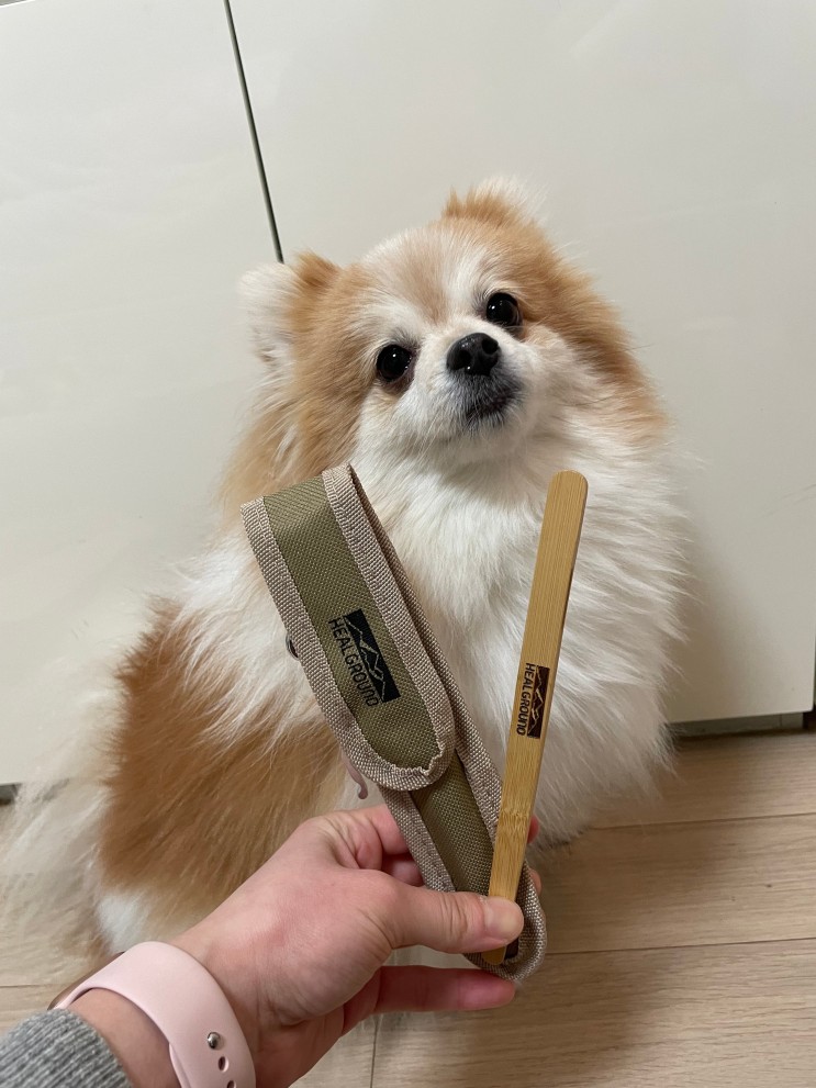 힐그라운드 뱀부 줍줍 플로깅 집게와 함께 일상에서도 강아지와 함께 플로깅 하기!