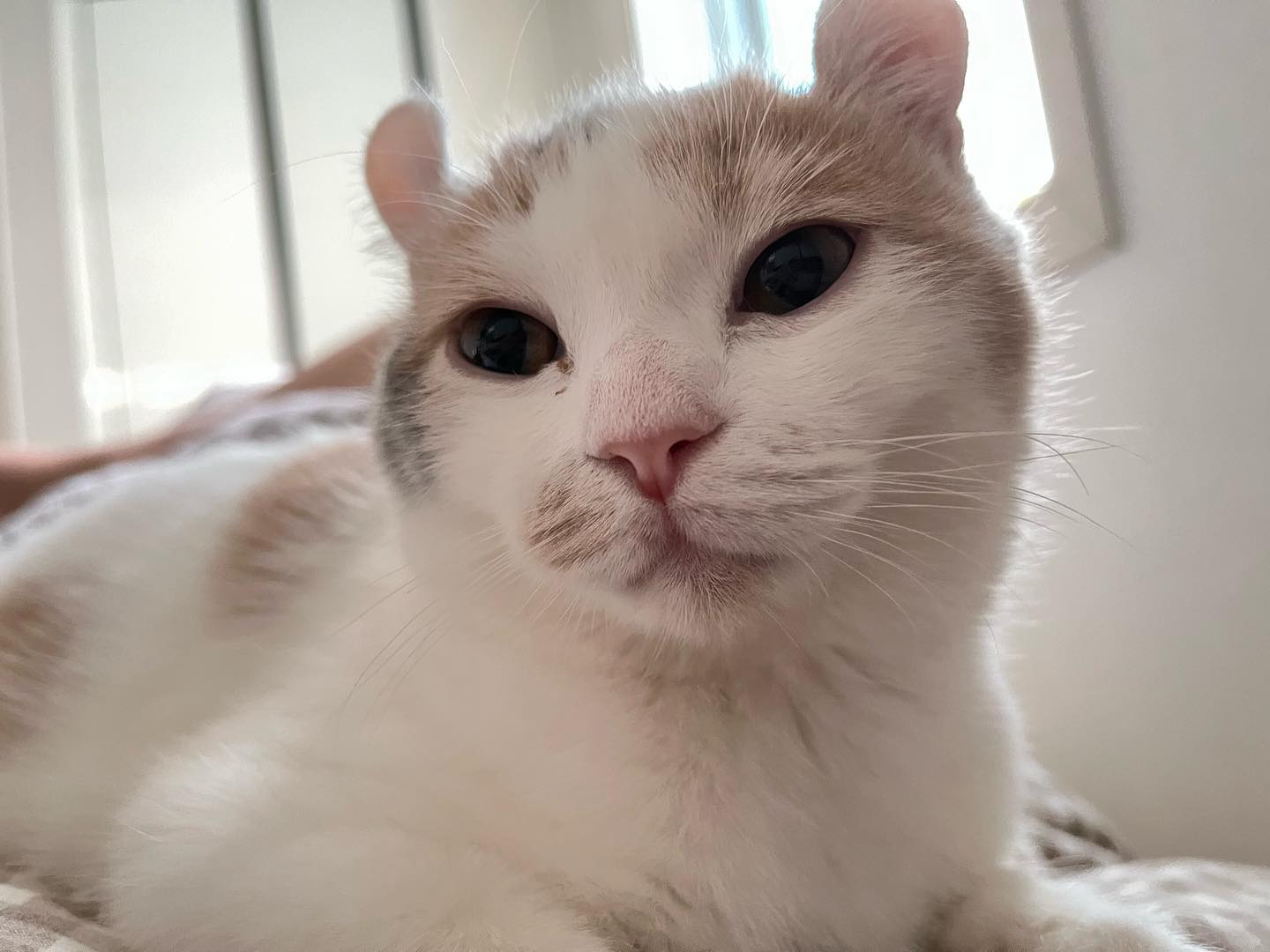 포뇨 왤케 모씽겼어❤️❤️❤️😻😻