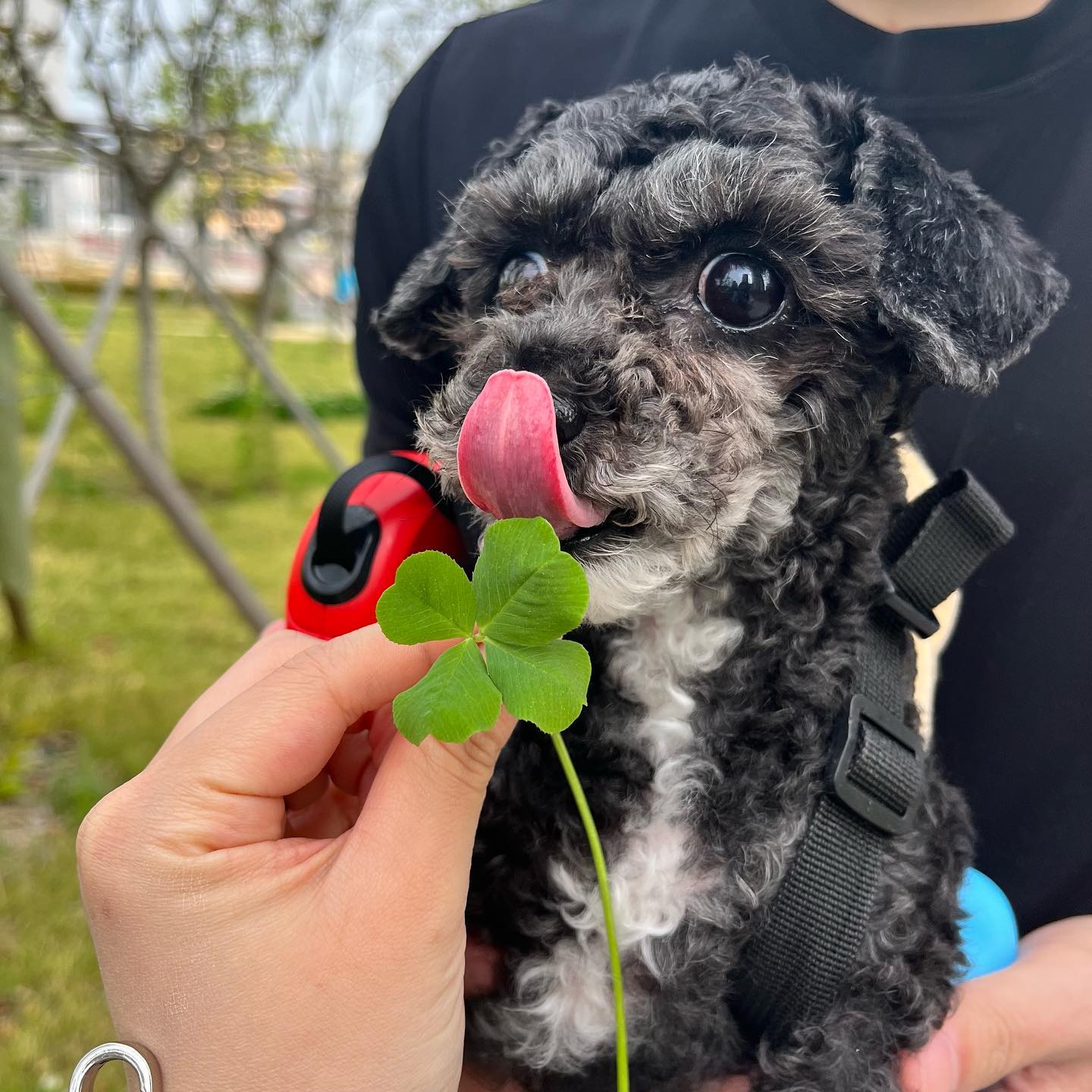 내새낑🍀