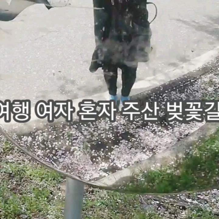 충남여행 드라이브 하기 좋은 주산 벚꽃길

#충남_아름다운_드라이브길_10선 

#충남여행

#충남가볼만한곳 

#충남여행지추천 

#충남봄꽃여행

#봄꽃여행추천

#충남도청

#충남관광협회

#뷰스타

#여자혼자

#혼자여행

#주산지벚꽃길

#인생샷