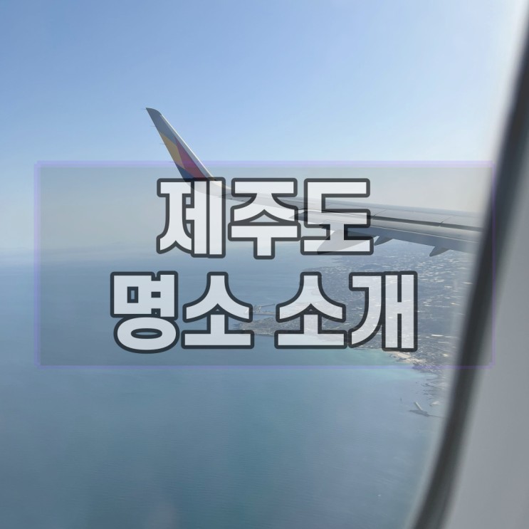 제주도 명소 소개 : 간만의 제주도여행 관광지 추천!