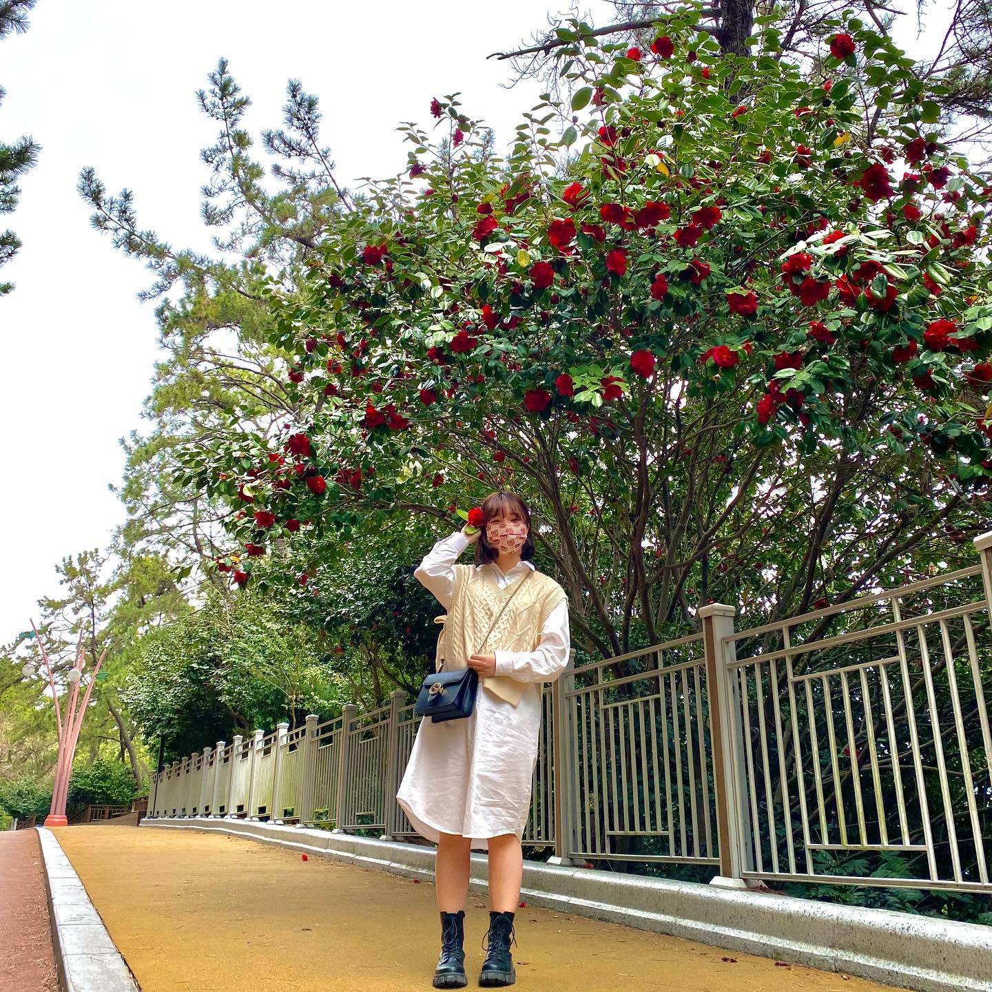 🌺동백섬🌺