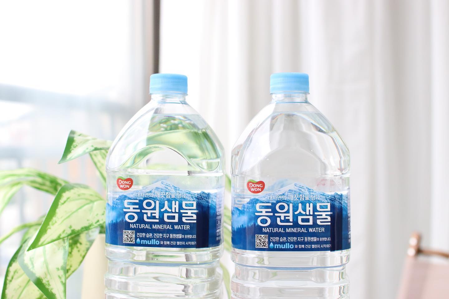 #협찬
평소에도 동원샘물 잘 마시는데
이번에 리뉴얼이 되어서 새롭게
탄생을 했더라고요!??!

에코보틀이라고 해서
기존에 동원샘물 대비
15.8% 플라스틱 공병의
중량을 절감을 했더라고요.
에코캡 사용이랑
라벨 폭을 줄여서 플라스틱 절감을 한건데요.
친환경적이니까 너무 마음에 드는거 있죠!?

그리고 EASY GRIP도 추가가 되어서
아이나 물병을 들기 힘들었던 분들도
쉽게 들 수 있게끔 디자인이
추가가 되어서 더 좋았어요.

또, QR코드가 있어서 신기헀는데요.
이걸 폰으로 찍으니까 Mullo App을
받을 수 있는 곳으로 넘어가더라고요.

이 Mullo App에서는 기본챌린지로
물마시기 챌린지를 참여할 수도 있고
그 외에도 다양한 챌린지들을 이용을
할 수 있어서 정말 좋더라고요.

그리고 그렇게 모은 포인트로
동원샘물을 구매를 할 수 있으니까
완전완전 대박인거죠!!
물맛도 깔끔하고 너무 맛있는데
이런 이벤트까지 숨겨져 있어서
너무나도 마음에 들었는데요.

다른분들도 동원샘물
꼭 마셔보세요!! 너무 좋아요!

dw.drink_water/
❤️mullo.kr
#동원샘물 #리뉴얼 #생수 #생수2L #동원샘물2L #생수추천 #맑은샘물 #미네랄생수 #생수배달 #생수브랜드 #좋아요반사 #좋반 #LFL #좋아요폭탄 #선팔하면맞팔 #선팔맞팔 #인친해요 #인친합시다 #인친환영 #인친고고