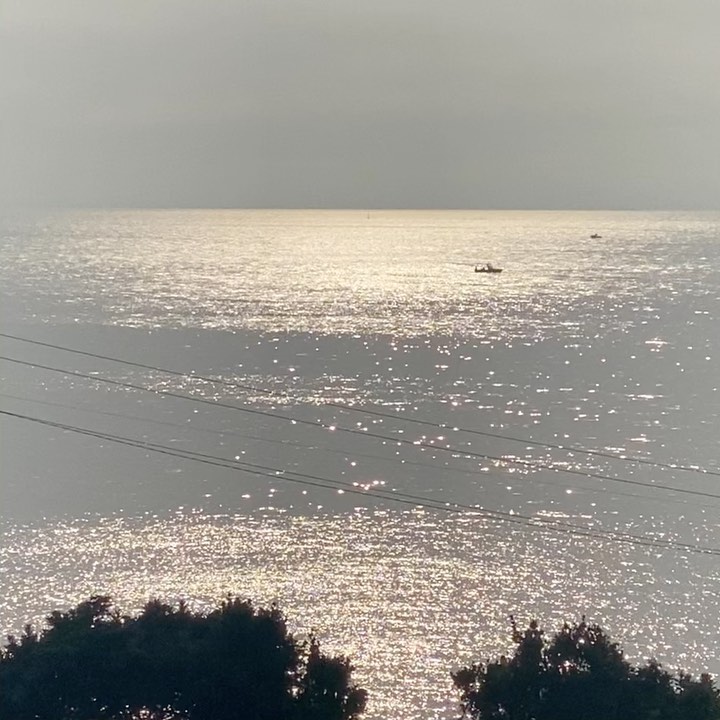 🍊
제주로 이행시 해봅니다

제: 제발 여행가서는 지갑 
휴대폰 꼼꼼히 확인하세요 

주: 주인 떠나간 소지품은 
찾는 것이 참 쉽지않습니다 

🧡찾아서 다행이었다 아찔했어..
-
-
-
-
-
-
#제주#일상#일기#여행#애월#용담해안도로#스누피가든#랜디스도넛#제주바다#🌴#🌊