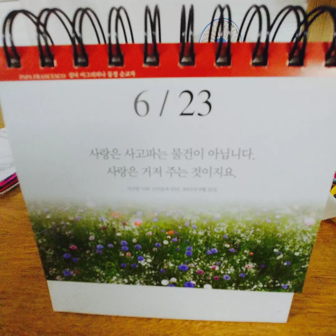 콘텐츠