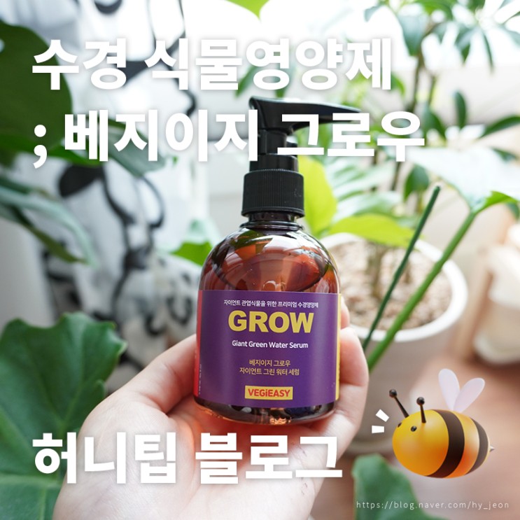 그로우에코그램 베지이지 식물영양제 <그로우> : 장마철 과습 관리 어렵다면? 수경재배로 마음 편하게 관리하기🌱