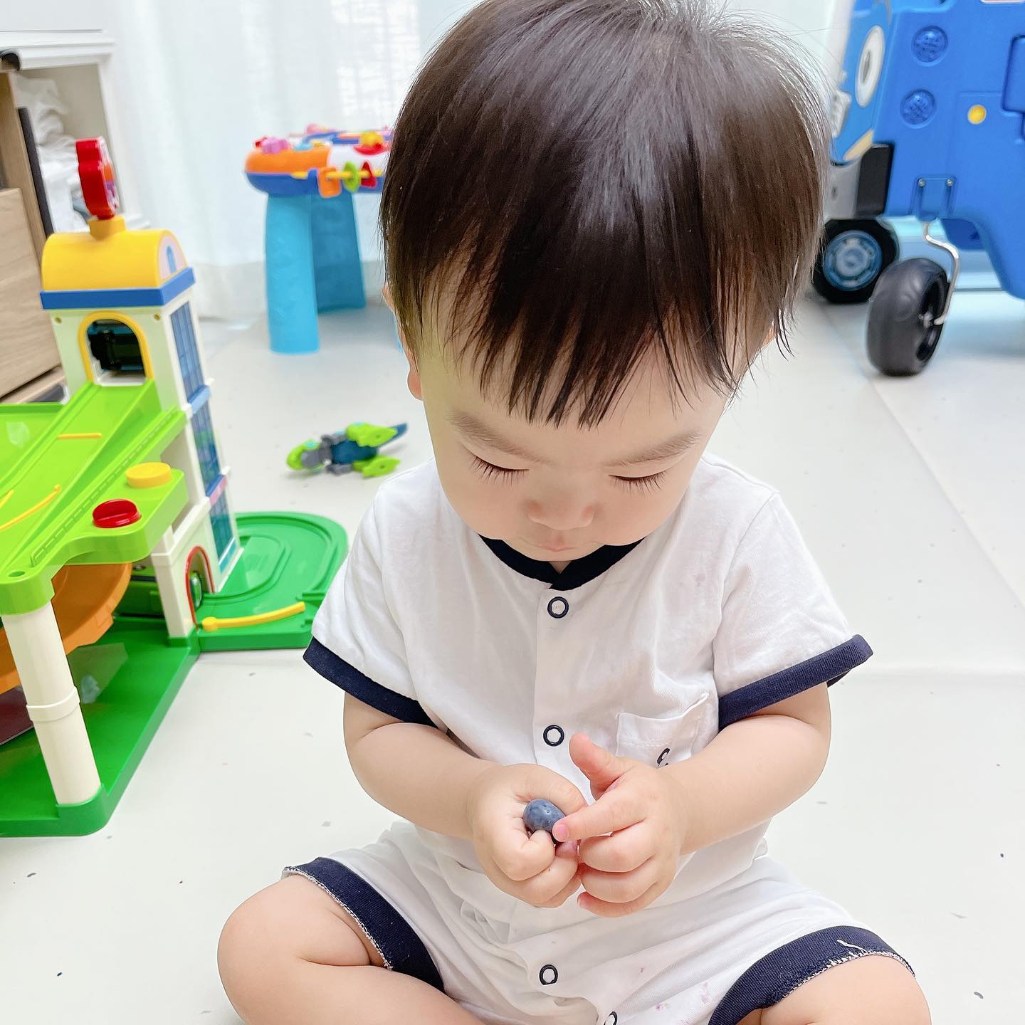 블루베리 홍보대사🫐💙