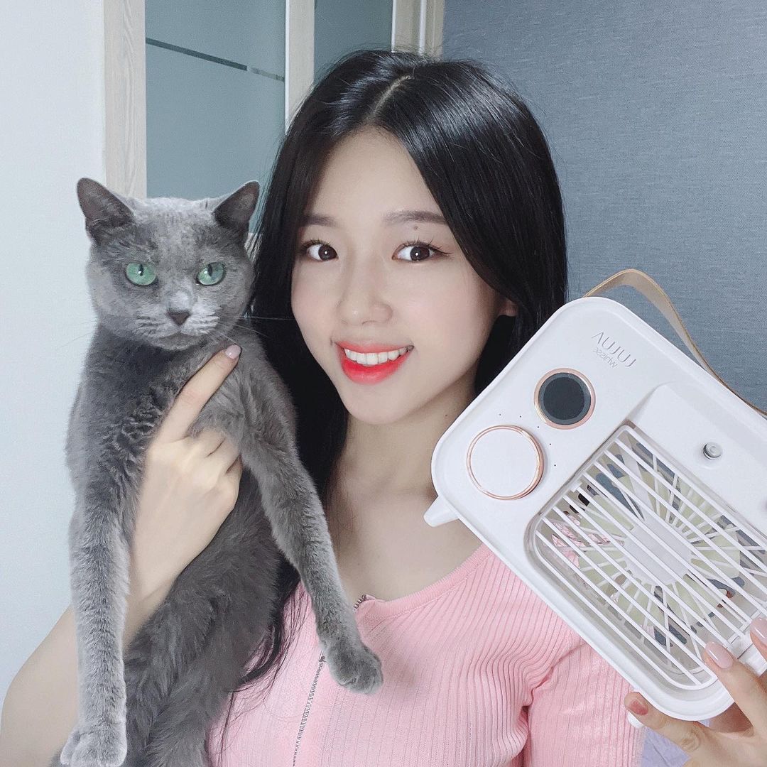 𝐇𝐚 𝐉𝐞𝐨𝐧𝐠 𝐘𝐮 하정 on Instagram: “2022.06.23 Thursday 🌿 고양이도 좋아하는 미니 냉풍기☺️ 틀자마자 내 옆에 딱 붙어있는 나나 ㅎㅎ🖤 크기도 적당하니 디자인도 넘 예