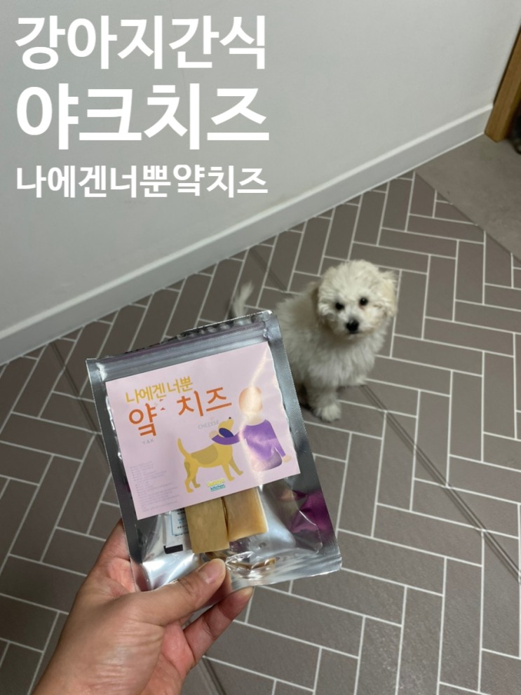 강아지 간식 후기 :: 야크치즈 (나에겐너뿐얔치즈 써니의 주방)