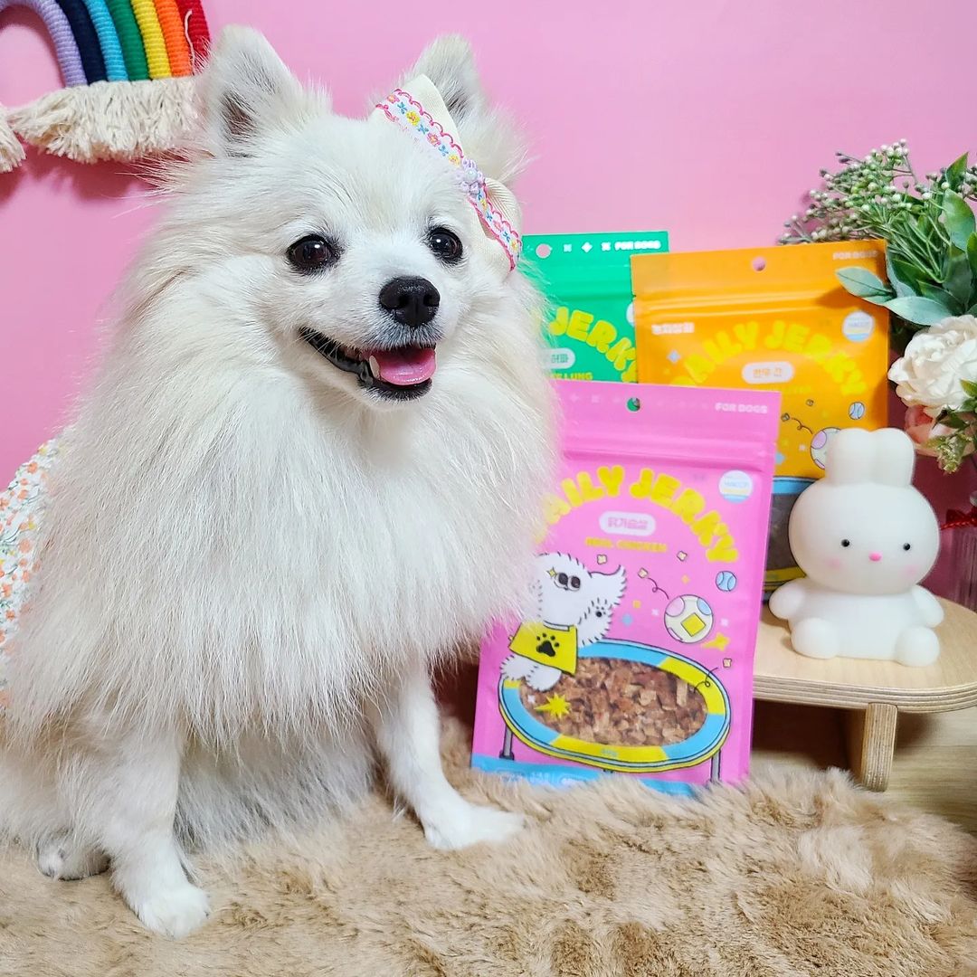 찐빵🐶 견플루언서 on Instagram: “#광고 #협찬 한입에 쏙쏙💕 부담스럽지않은 미니사이즈 까까 ▶️눈치상회 데일리저키 ✔️100% 단일 원육을 그대로 건조하여 만든 육포간식❣️ ✔️몸에