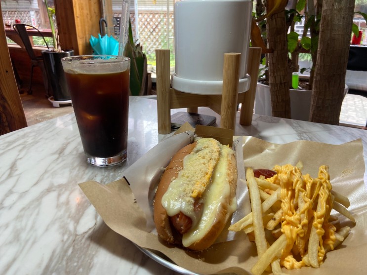성신여대브런치 나이스 샌드위치 치즈핫도그 맛있어요