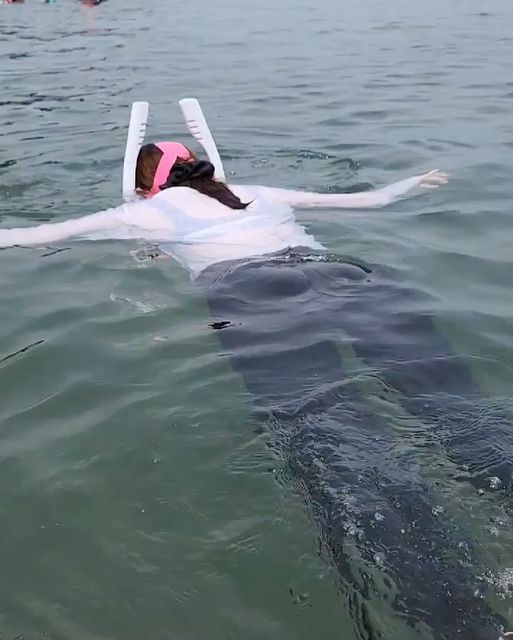 Ⓗ②ⓄⓃ on Instagram: "여수는 밤바다 만 있는게 아니거든요🤍 . 올 여름이 끝나기 전에 물놀이 계획이 있으시다면 ‘아쿠아테일 풀페이스 스노쿨링 마스크’ 장만해보세요🤍 . 해수욕장에