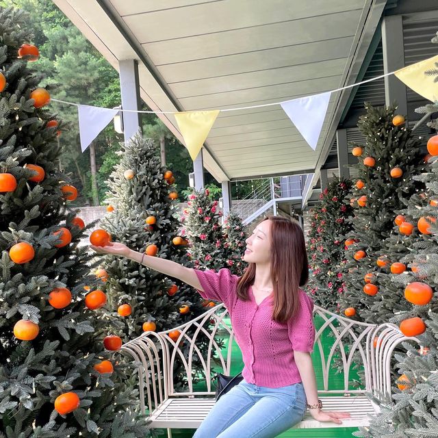양희정 on Instagram: "페이스북 댓글 이벤트에 당첨되어 대전 드르쿰다에 다녀왔습니당🧡 우유 생크림 케이크 진짜 추천!😍 @all.about.daejeon @delekoomda_official @delekoomda_daejeon 덕분에