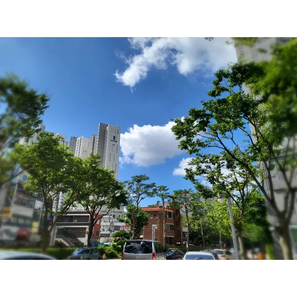 #20220816 

오늘 하늘 너무 예쁘다
엊그제까지의 폭우가 거짓말인양🌞

연휴 끝 한 주도 화이팅!

#오늘날씨맑음 #일상 #특별한날