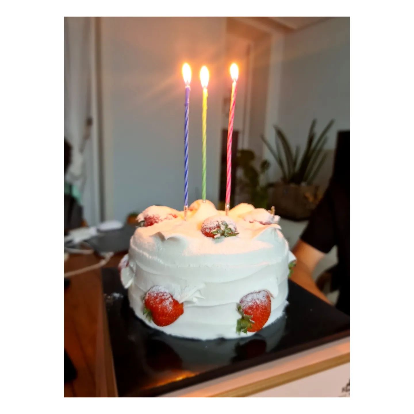#31번째생일

조용하고 차분하게 보내본 생일
이제 나이를 먹은건가😭😢

맛잇는 저녁먹고
커피한잔 사들고
공원한바퀴
그리고 케이크

내년엔 좀 시끄러워볼까보다 😍
축하해주신분들 감사함미당당당당

#일상 #소통 #생일 #젊줌마 #말띠맘
#좋반 #운정