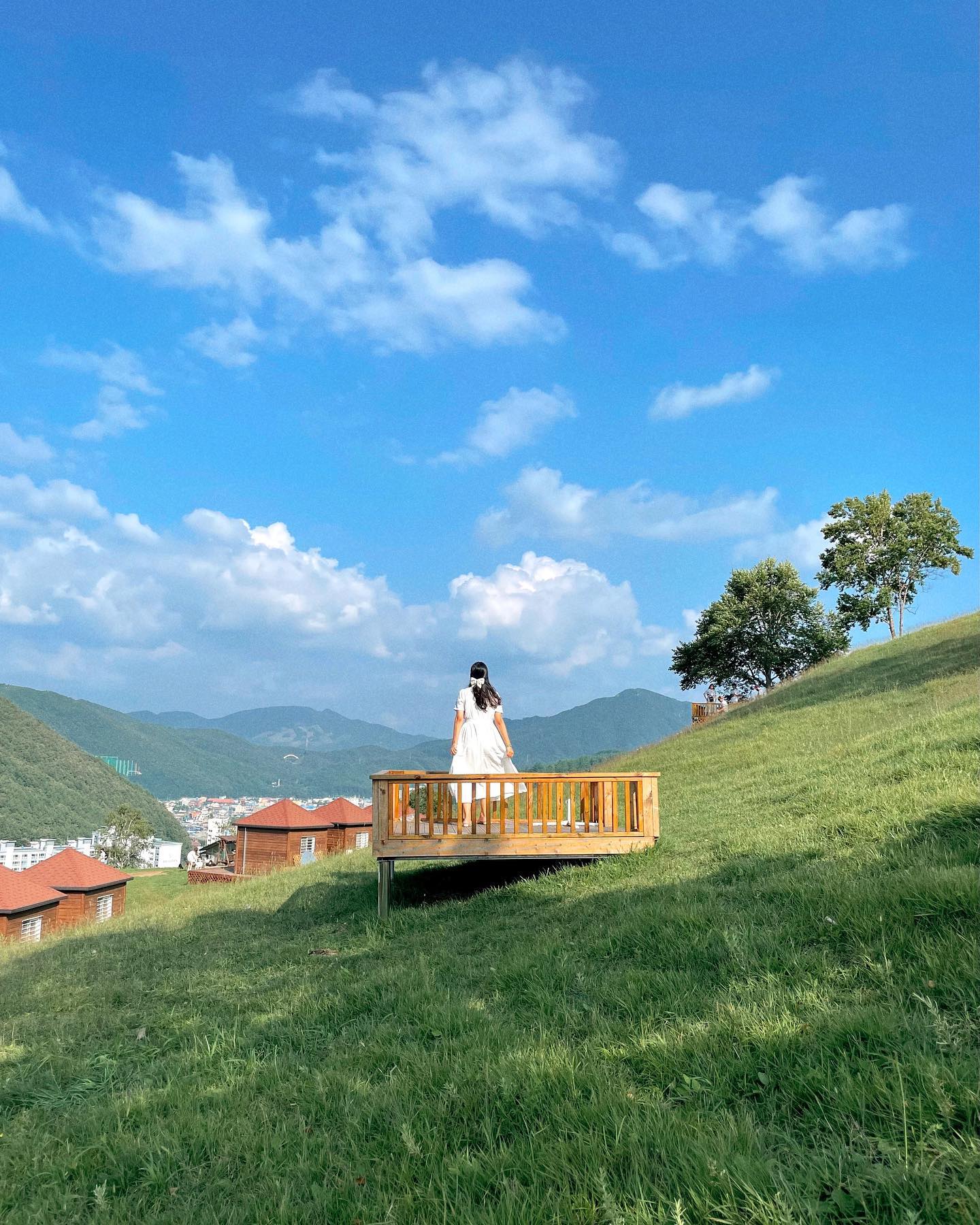 하늘까지 너무 예뻤던 산양목장🫧

📍태백 몽토랑산양목장