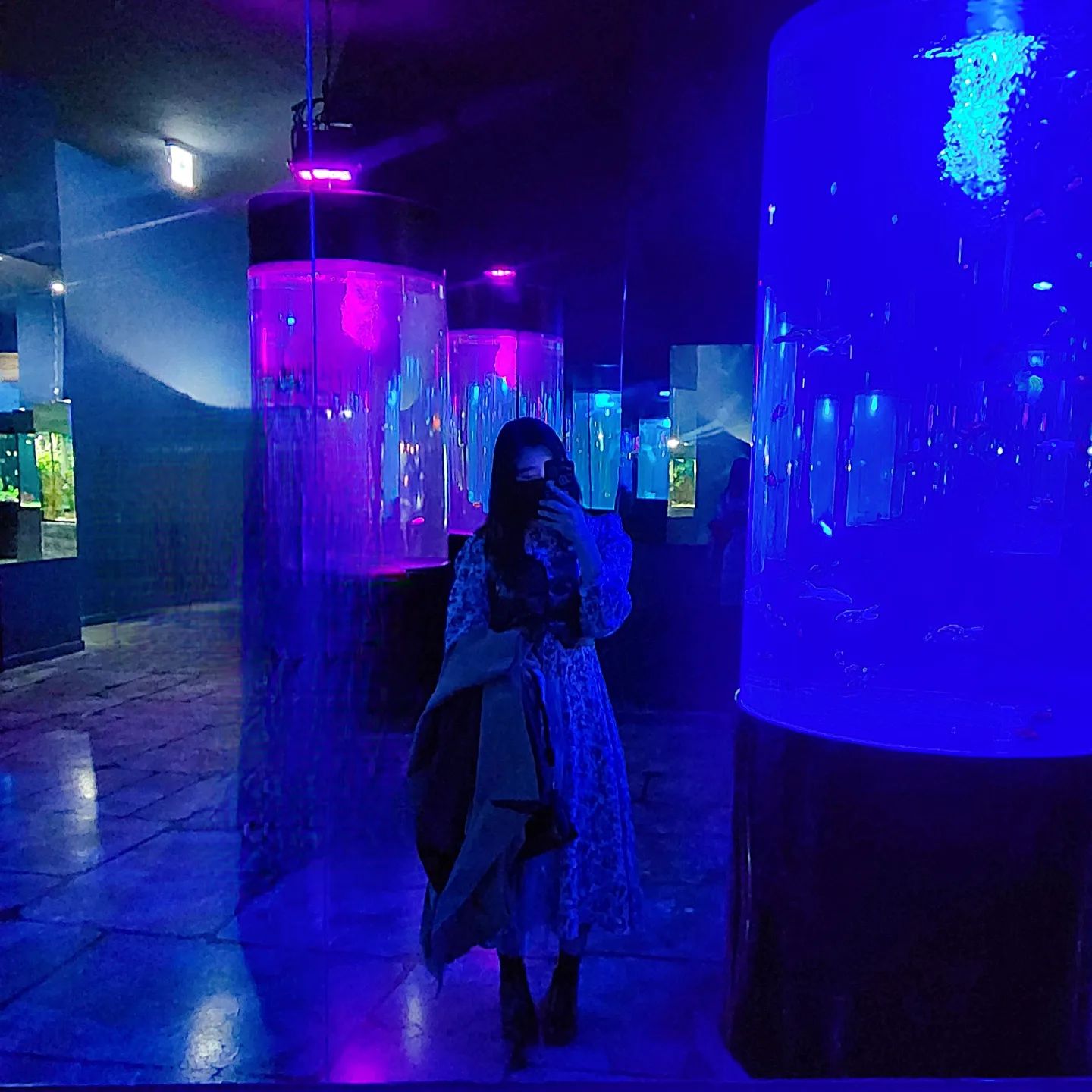 바다 속 친구들 🐟🐟🐟..