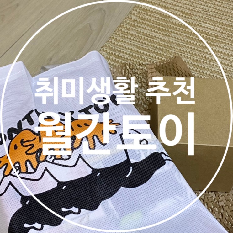 지루한 일상 속 새로운 취미구독 월간토이 9월 설렘토이 후기