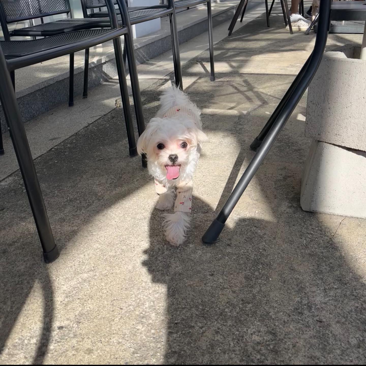 콘텐츠