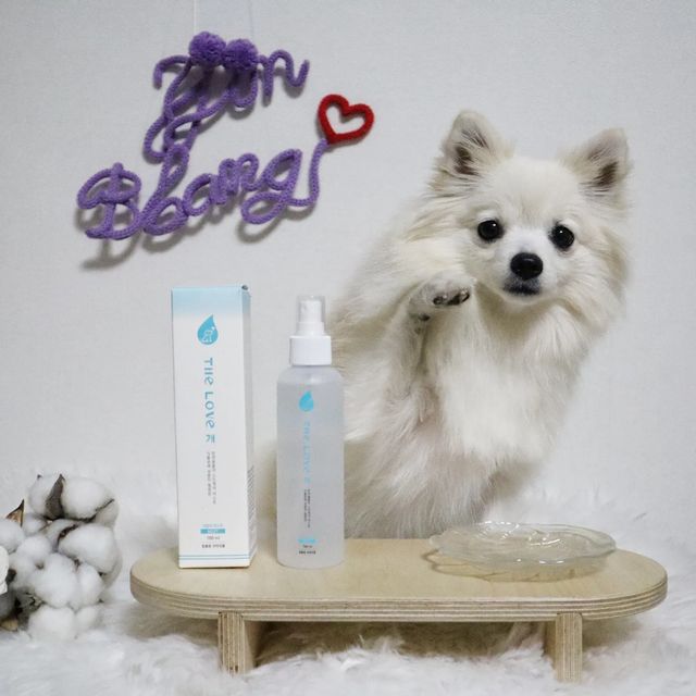 찐빵🐶 견플루언서 on Instagram: "#협찬 쌩쌩 바람부는 싸늘한 요즘계절😱 찐빵이의 피모관리 꿀템🍯 ▶️더럽개 저자극 강아지 미스트 ✔️식물유래 성분이 함유된 반려동물 미스트🌱 ✔
