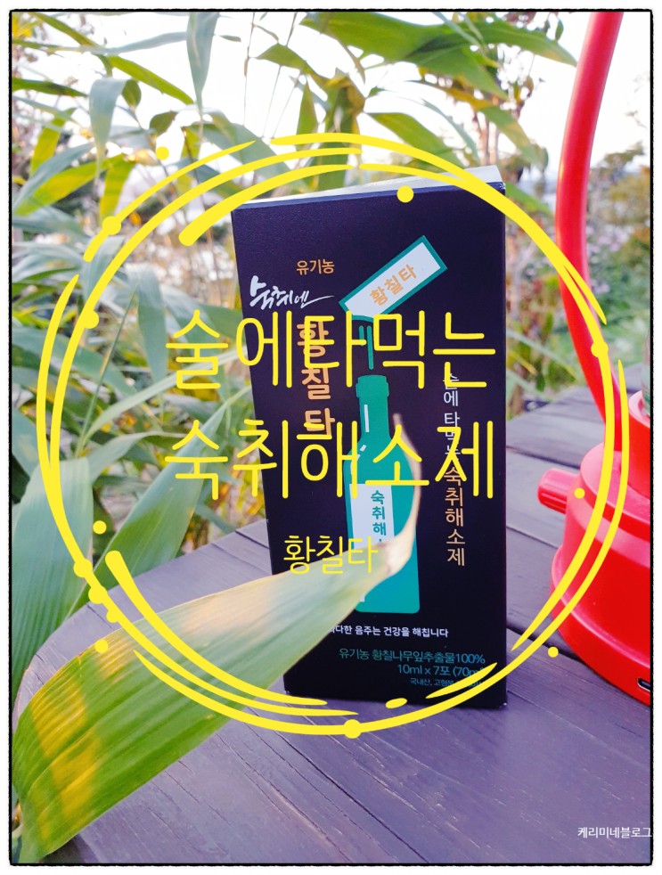 술에 타먹는 숙취해소제 (황칠타)