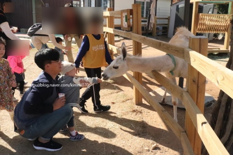 일산 아이와갈만한곳 실내동물원 쥬라리움 다녀왔어요
