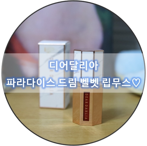 립틴트 추천 :) 보송한체 촉촉한 디어달리아 파라다이스 드림 벨벳 립 무스 시덕션컬러♡