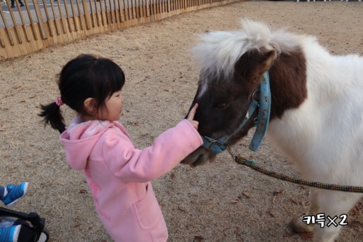 일산 아이와 갈만한 곳 쥬라리움 일산점