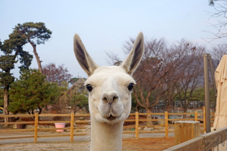 쥬라리움 일산점 실내동물원이 있어서 좋아요