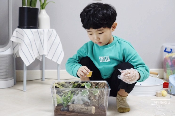 장수풍뎅이 키우기 미니펫가든 홈스쿨링 세트만 있으면