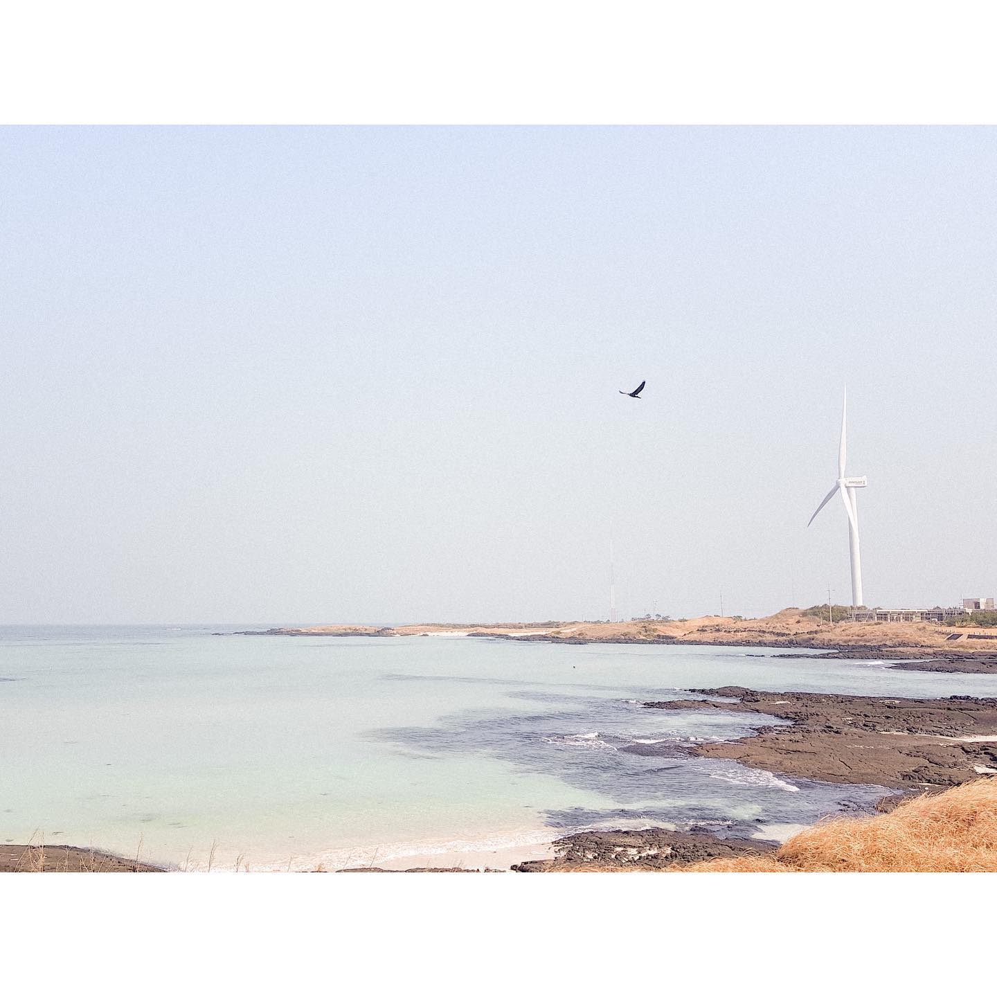 #김녕해수욕장 
#sweet_street_beat #streetweekly #ipctakeover #fujifeed #lightbox #observecollective #streetlife_award #sweetnesday #rawstreetphotogallery #streetphotographersmagazine #portbox #aspfeatures #gf_streets #reframedmag #streetizm #eyeshotmag #dreaminstreets #streetsacademy #streetdreams #life_is_street #myspc #urbanstreetphotogallery #bcncollective #spi_colour #streetphotographyinternational #fisheyelemagthisaintartschool #제주도 #해수욕장 #beach
