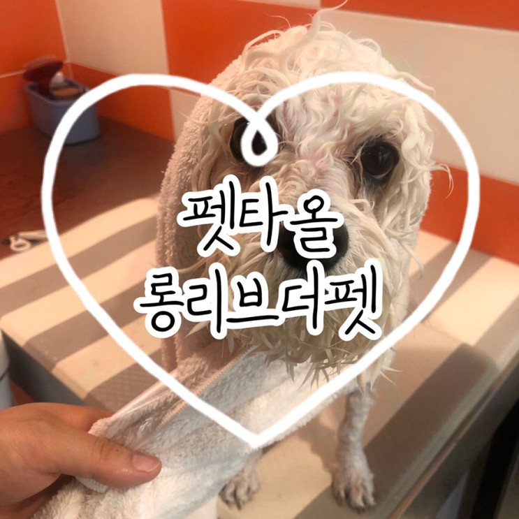 펫타올:: 강아지수건 롱리브더펫 극세사 수건