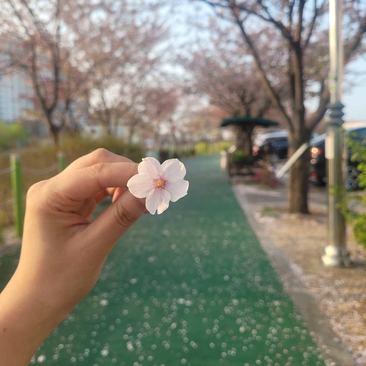 오빠가 선물이라고 줌♥️
집가구싶당...#퇴원고픔