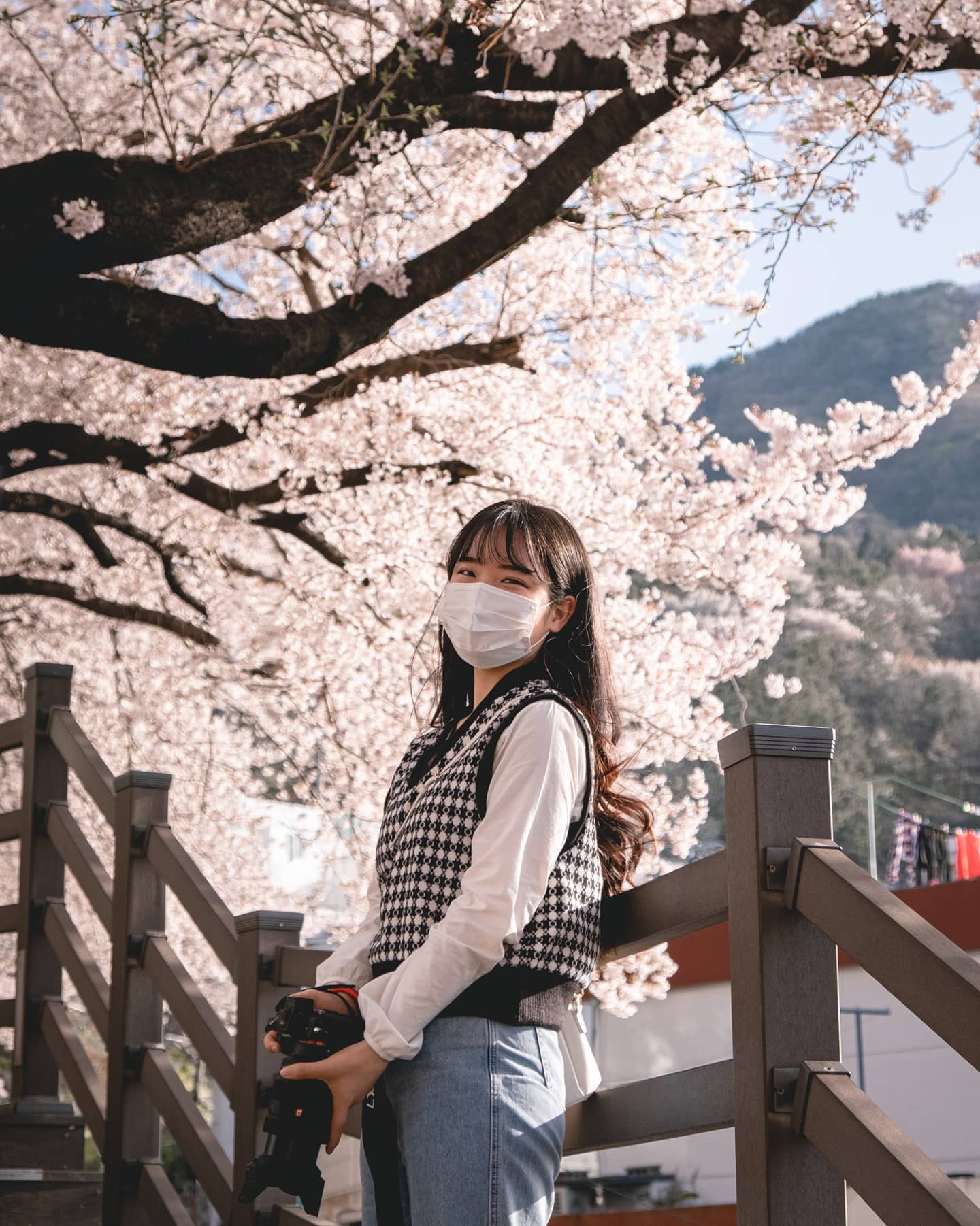 벚꽃 다 떨어졌지만 겹벚꽃 기다리면서 벚꽃피드 태울래.. feat.게으른인충

📌부산 부산진구 개금동 765