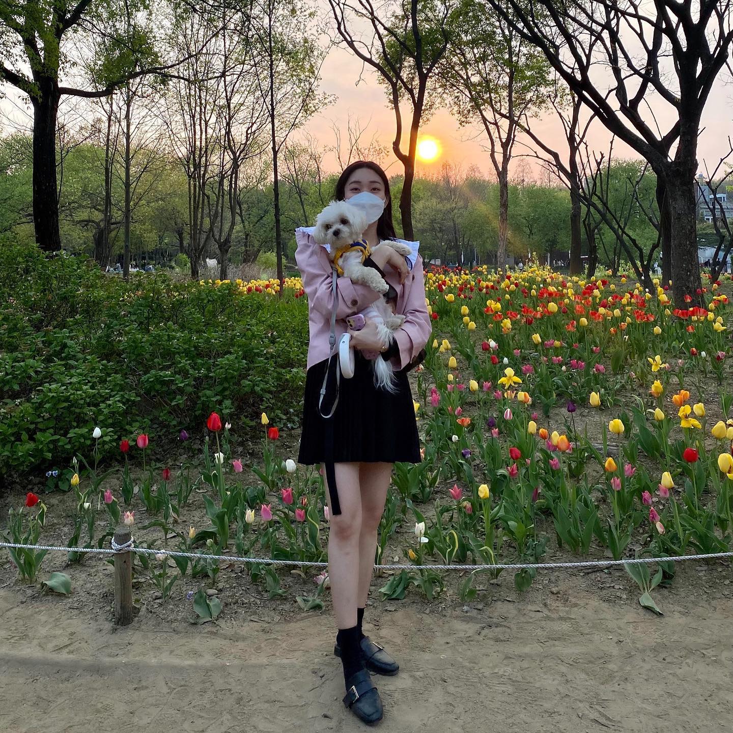 #20210411
설기와 함께 행보크한 주말🐶♥️
#서울숲 #성수 #튤립 #꽃구경🌸