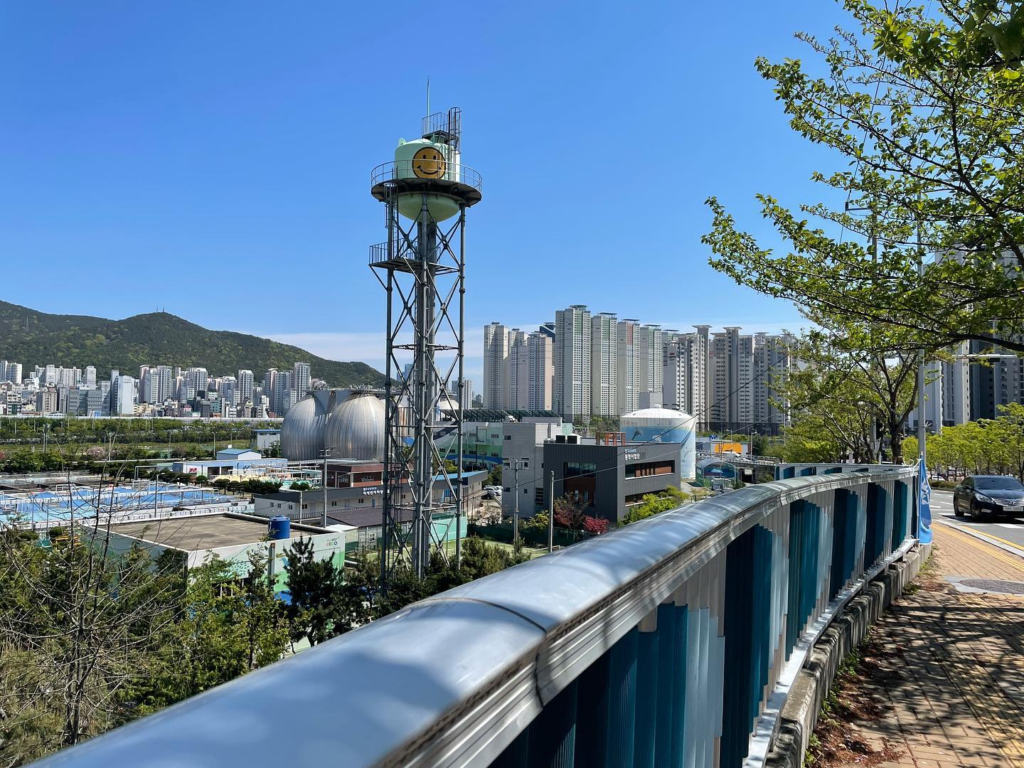 콘텐츠